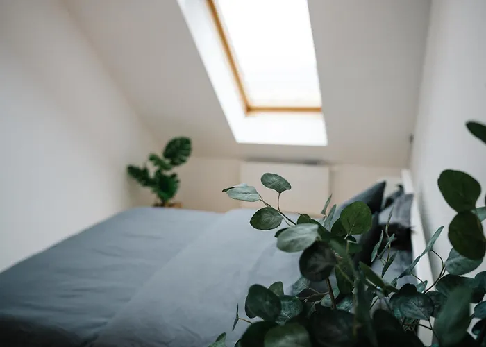 110qm, 4 Bedrooms, Near Schoenbrunn - Axara Housing Osw 33 * Vienna